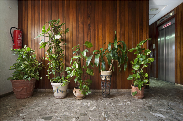 Frederic Volkringer. Fotografo