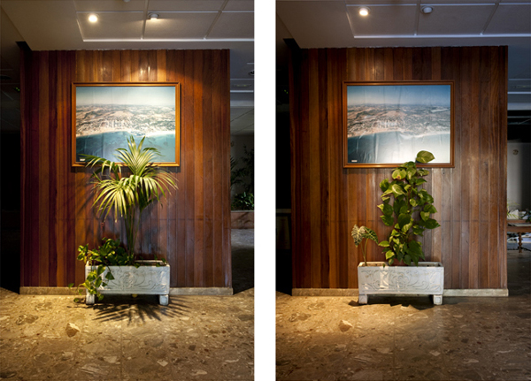 Frederic Volkringer. Fotografo