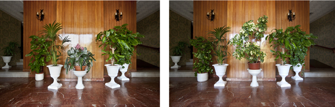 Frederic Volkringer. Fotografo