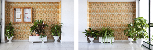 Frederic Volkringer. Fotografo