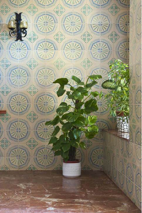 Frederic Volkringer. Fotografo